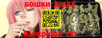 Альфа ПВП Будённовск