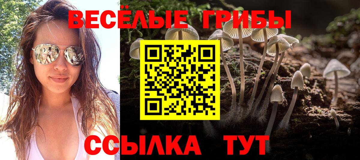 Галлюциногенные грибы MAGIC MUSHROOMS  Галлюциногенные грибы ЛСД  Вход с VPN  Тавда 