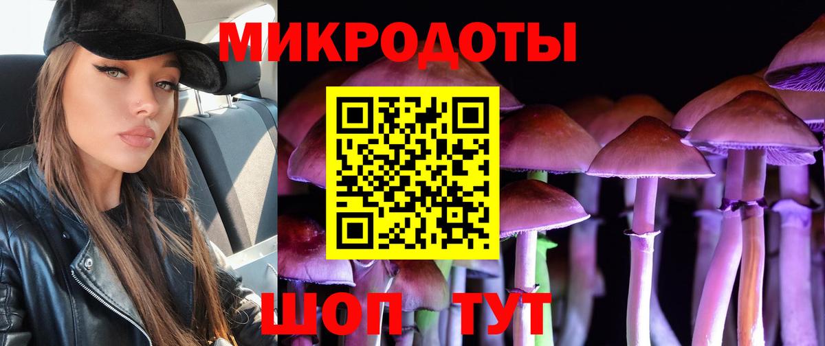 Галлюциногенные грибы мухоморы Тавда